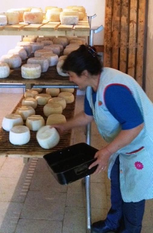 Agriturismo Lu Formaggio Hotell Castelli Eksteriør bilde