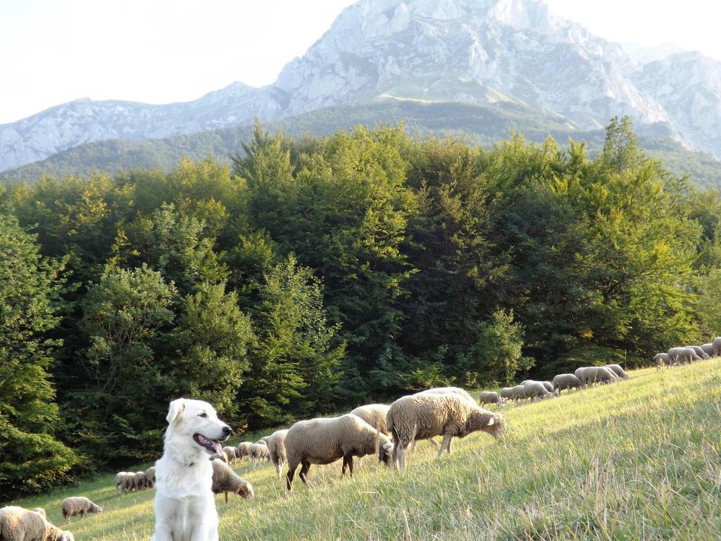 Agriturismo Lu Formaggio Hotell Castelli Eksteriør bilde