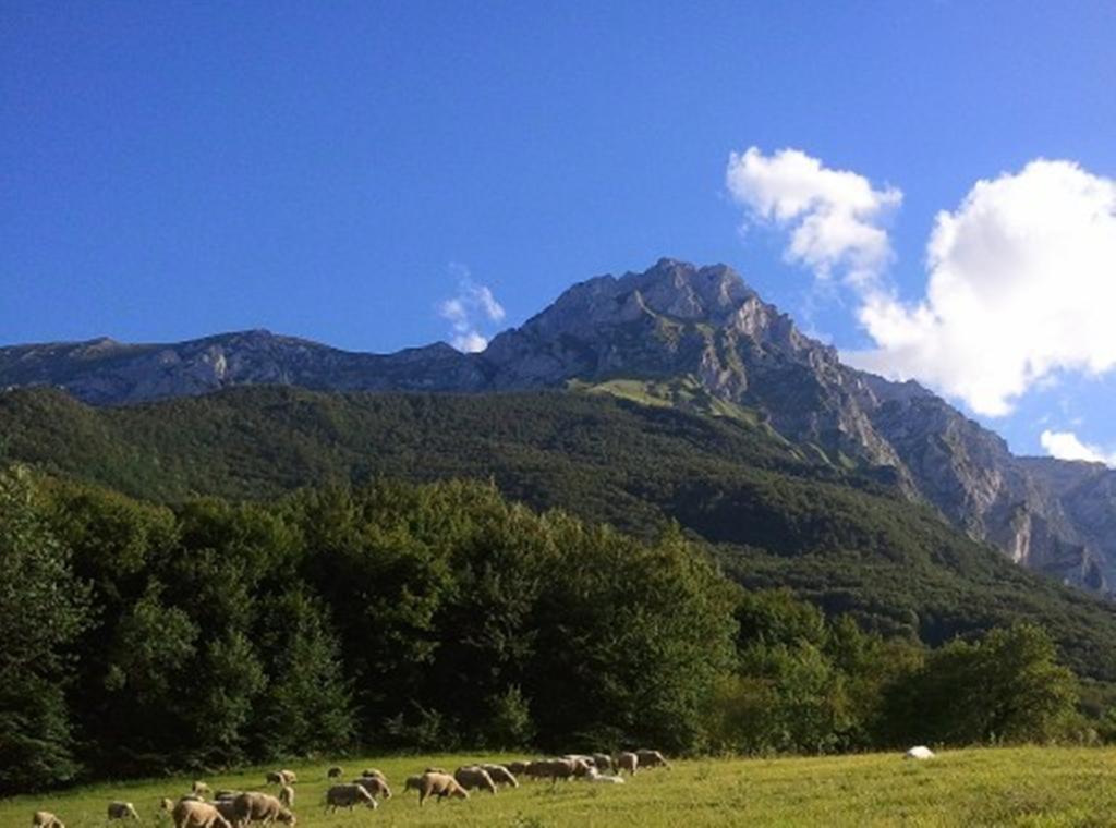 Agriturismo Lu Formaggio Hotell Castelli Eksteriør bilde